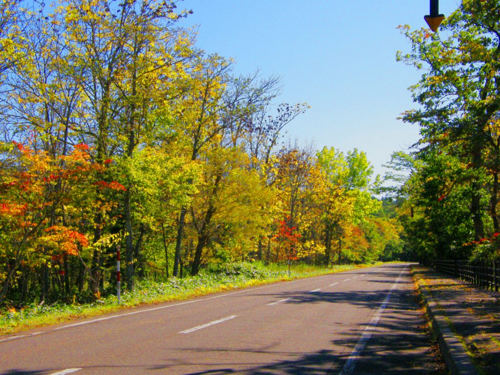 屈斜路の紅葉