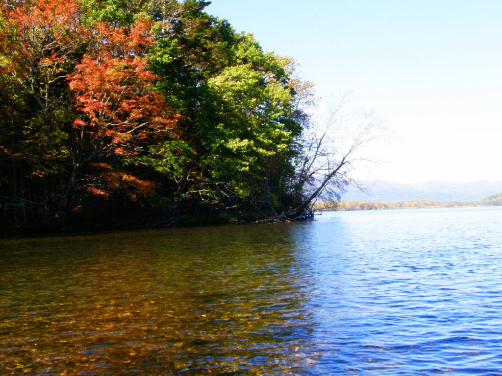 屈斜路湖の紅葉