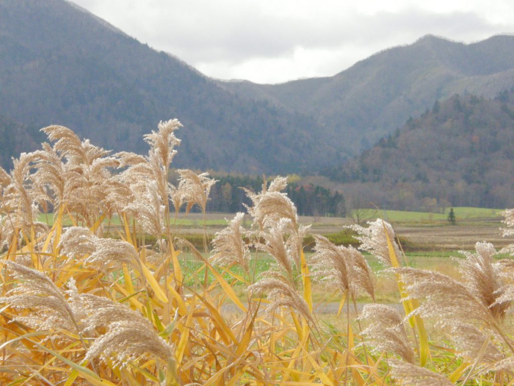 道東の風景